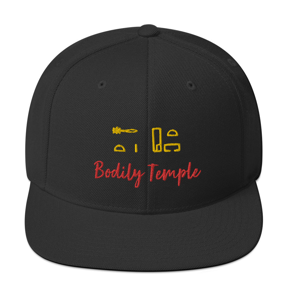 Bodily Temple Snapback Hat